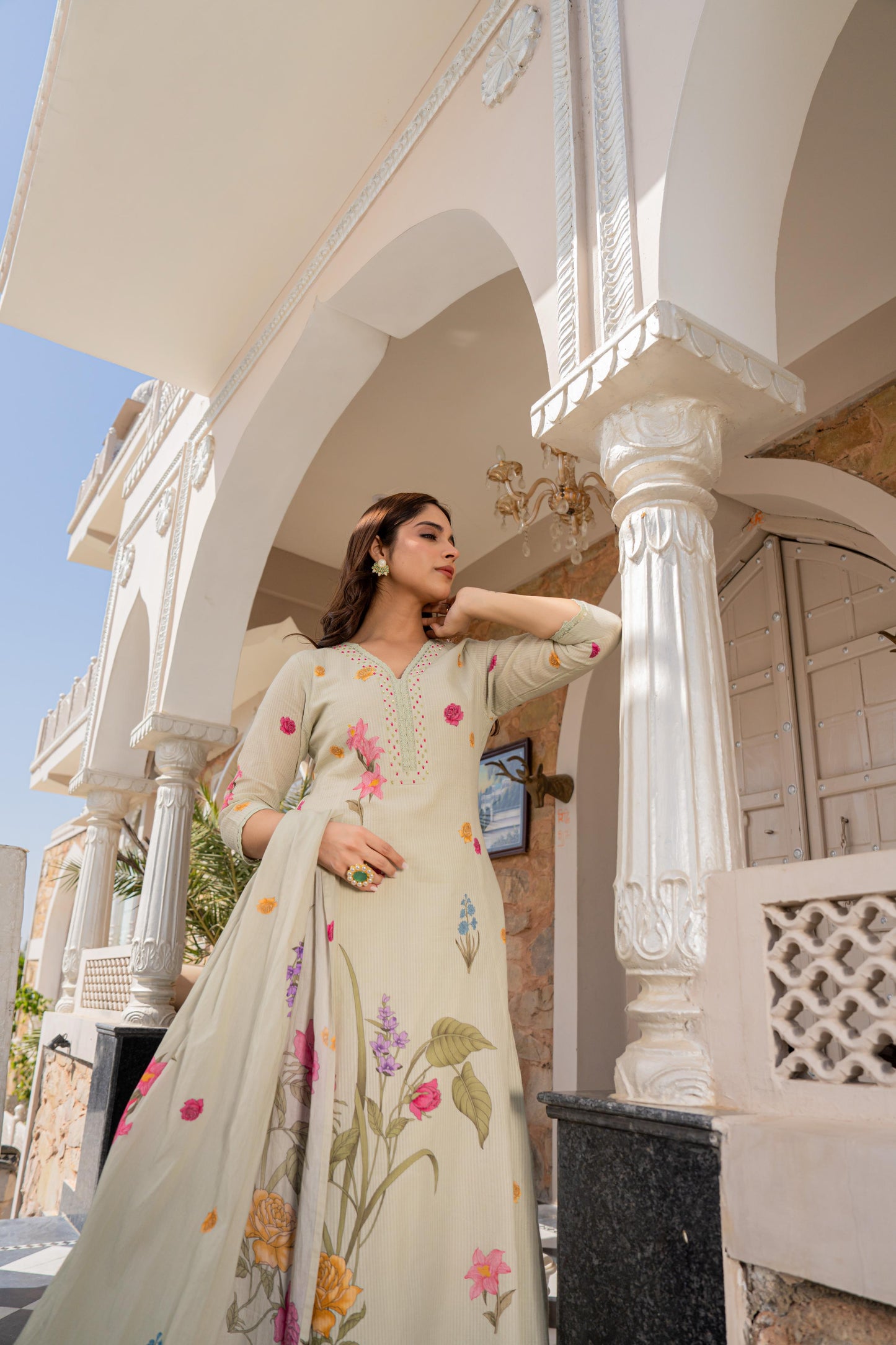 Beautiful Mul Cotton Brush Printed Anarkali Suit (2 Colors)