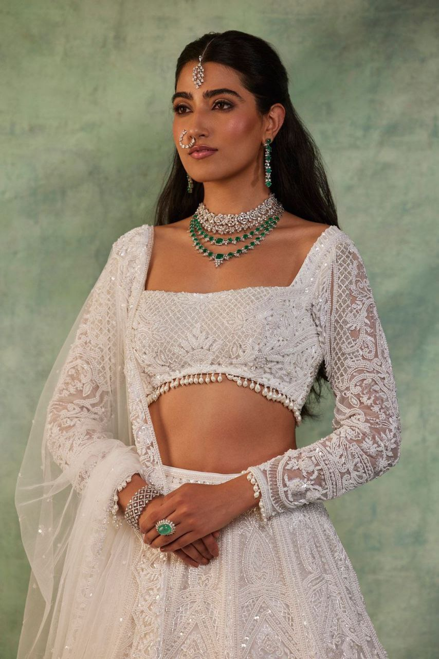 Butterfly Net Embellished Lehenga