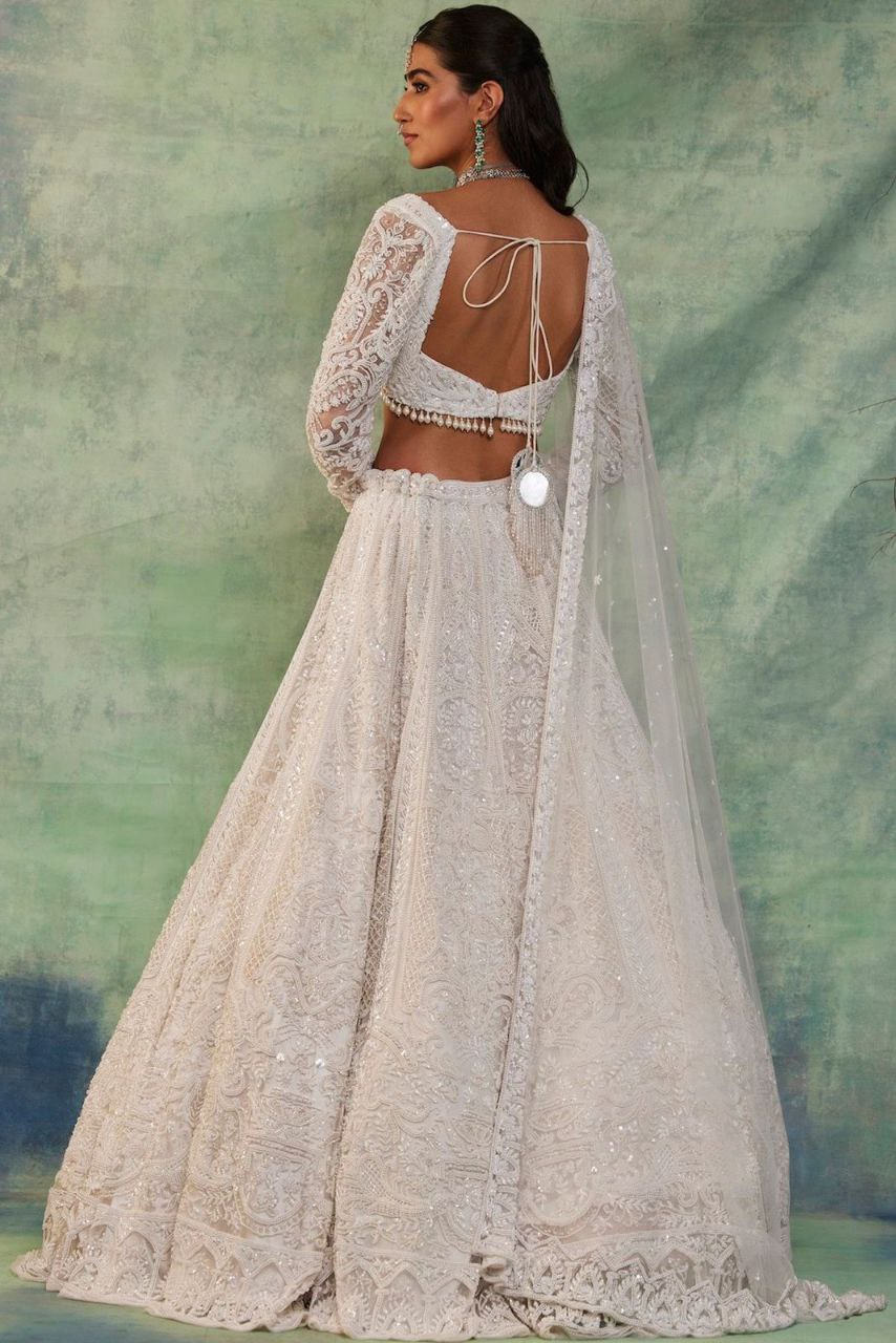 Butterfly Net Embellished Lehenga