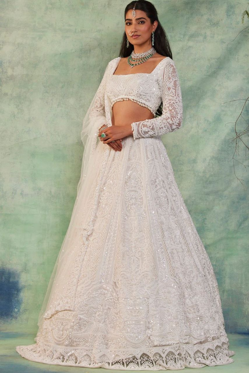 Butterfly Net Embellished Lehenga