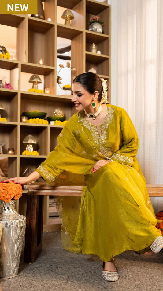 Zari Shimmer Tissue Embroidered Suit Set