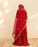 Red Embroidered & Sequence Work Sharara