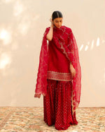 Red Embroidered & Sequence Work Sharara