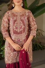 Red Coding Embroidered Sequence Work Sharara Suit