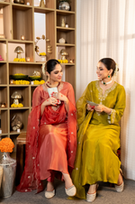 Zari Shimmer Tissue Embroidered Suit Set