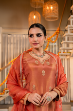 Coral Peach Gold Blue Tissue Suit Set